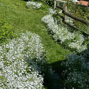 Apartment Huguette 18m2, Courchevel